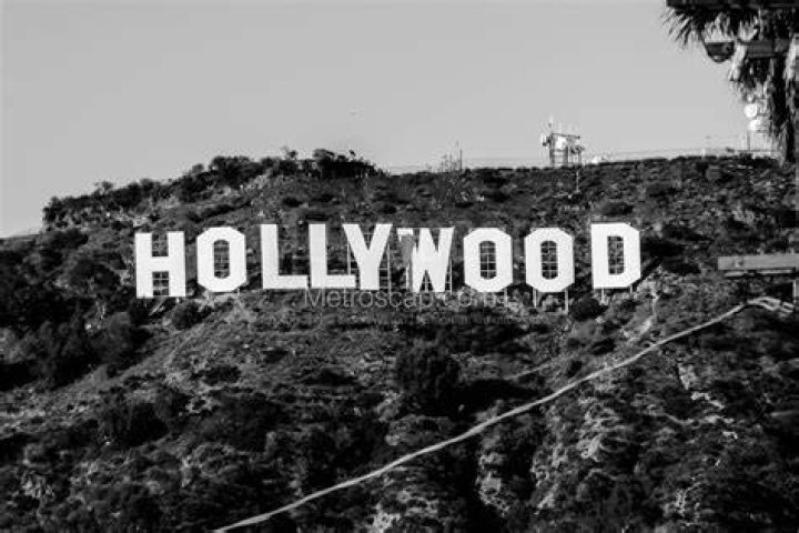 brown and white hollywood sign
