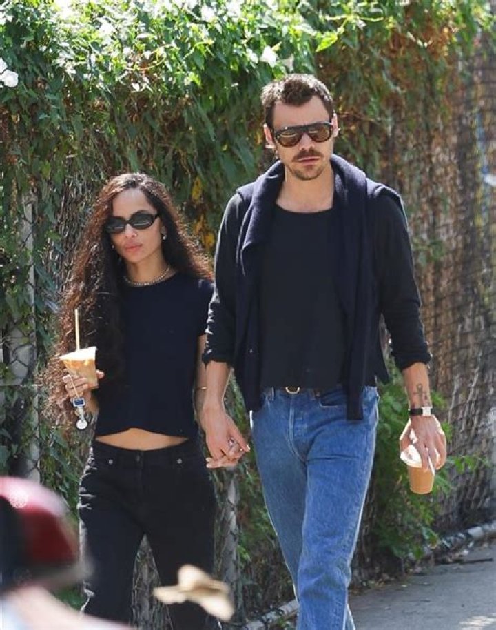 Zoe Kravitz’s Husband: Who is Zoe Kravitz Dating?